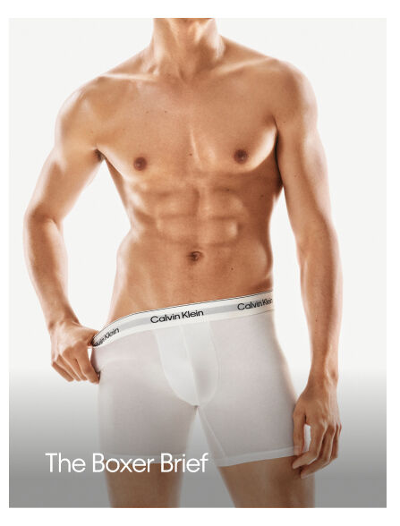 The Boxer Brief